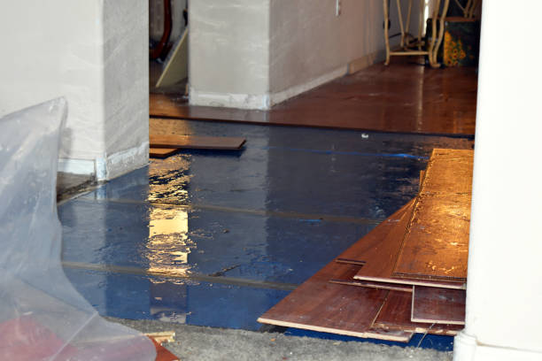 Professional Flood Damage Repair technician working in Ernul, NC